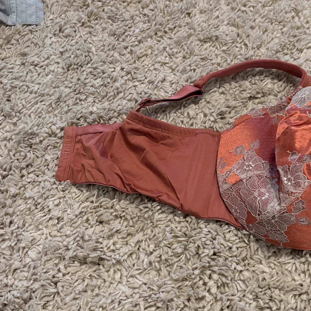 Cacique Satin Lace Bra in Rust and Cream